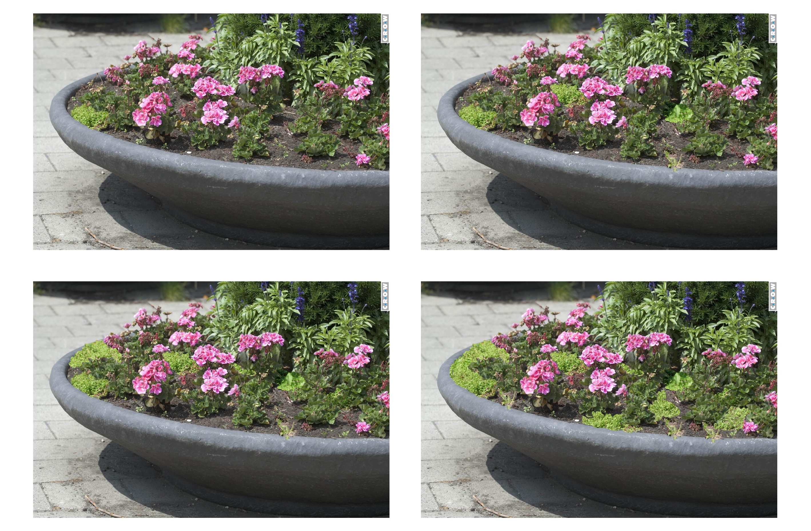 Public Space Quality Catalogue entry describing the image quality levels of flower boxes from A to D
